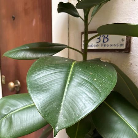 3B Studio Vesuvio Naples Luaran gambar